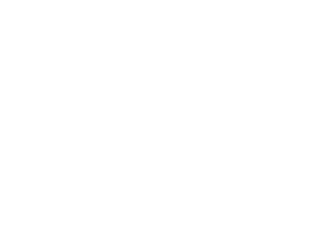 light logo